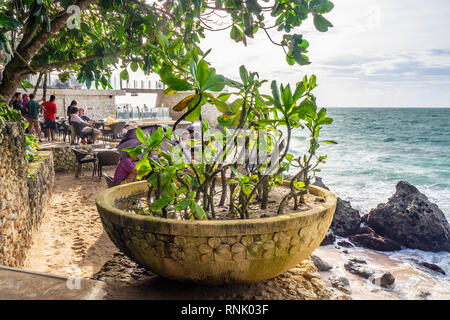 Topfpflanze in der Rock Bar am Ayana Resort & Spa Jimbaran Bali Indonesien. Stockfoto