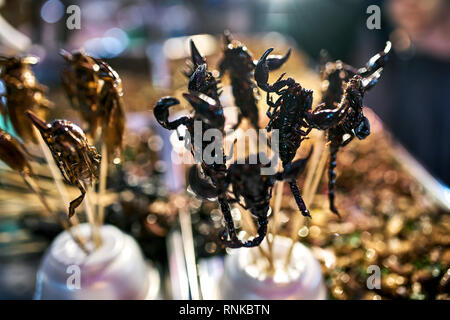 Knusprigen schwarzen Skorpione und braunen Heuschrecken auf dem holzstäbchen auf dem verschwommenen Hintergrund der Street Food Market in Bangkok in Thailand. Nahaufnahme Stockfoto