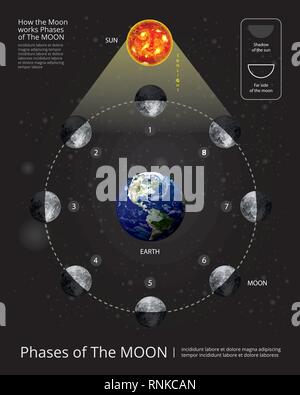 Bewegungen der Mondphasen realistische Vector Illustration Stock Vektor