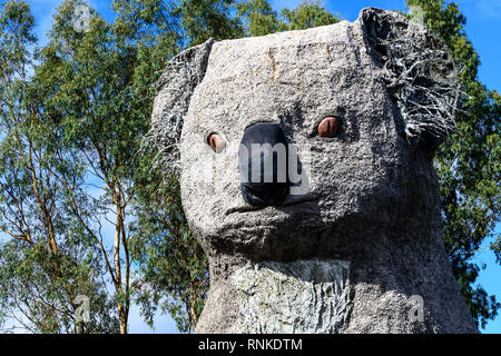 Koala, riesige Koala, Dadswells Brücke, Victoria, Australien Stockfoto