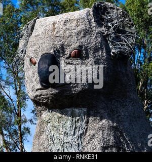 Koala, riesige Koala, Dadswells Brücke, Victoria, Australien Stockfoto