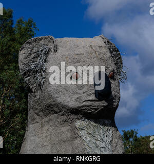 Koala, riesige Koala, Dadswells Brücke, Victoria, Australien Stockfoto