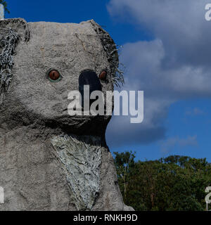 Koala, riesige Koala, Dadswells Brücke, Victoria, Australien Stockfoto