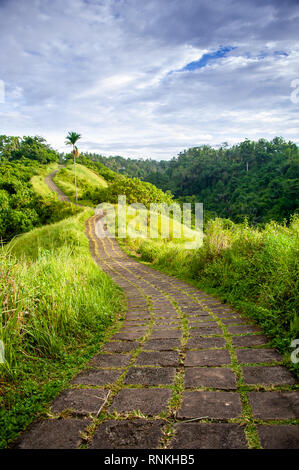 Campuhan Ridge, Ubud, Bali, Indonesien. Scenic Nature Trail, grünen Wald und Blau, bewölkter Himmel Hintergrund Stockfoto