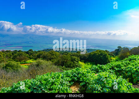 Blick auf die Landschaft und der Landschaft im Hula-tal aus Galiläa, im Norden Israels Stockfoto