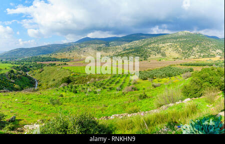 Landschaft mit Saar stream und die Nimrod Festung, auf den Golanhöhen, im Norden Israels Stockfoto