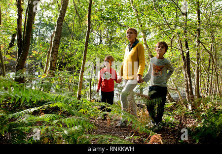 Familie in der staatlichen Wald von Regionaler Naturpark Scarpe-Escaut, Naturschutzgebiet der Regionale Naturpark Scarpe-Escaut (Nordfrankreich). Frau, mo Stockfoto