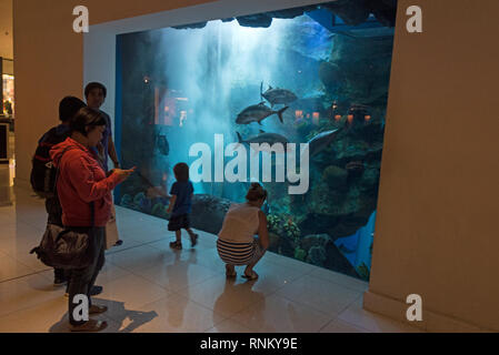 Eine Familie durch eine Vielzahl von tropischen Fischen in das riesige Aquarium in der Dubai Mall auf Doha Straße unterhalten zu werden, 1. Interchange-Sheikh Za Stockfoto