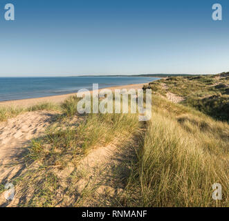 Sanddünen und leeren Strand von Tylosand, Halmstad, Halland, Schweden, Skandinavien Stockfoto