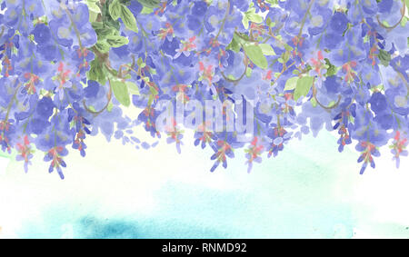 Grenze der Zweigniederlassungen von Violett Tinte Wisteria mit Licht blau Aquarell Hintergrund und kopieren Raum Stockfoto