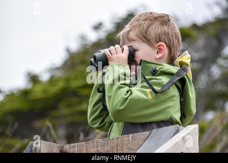 Interessierte junge Blick durch ein Fernglas, von Punta Arenas, Patagonien, Chile, Südamerika Stockfoto