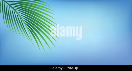 Green Palm Leaf auf blauen Himmel Hintergrund für Sommerurlaub design Vector Illustration EPS 10. Stock Vektor