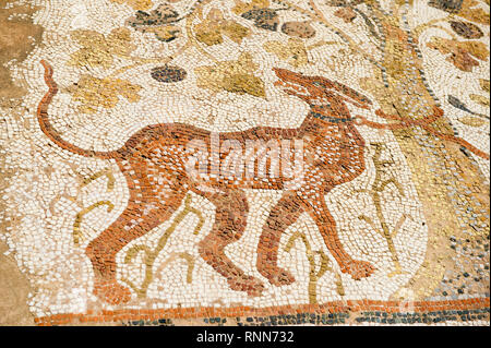 Heraclea Lyncestis, Ruinen eines antiken griechischen und später römische Stadt, Bitola, Mazedonien Stockfoto