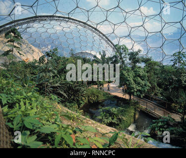 UK. England. Cornwall. Das Eden Project. Innenraum der Glaskuppel Gewächshaus. Stockfoto