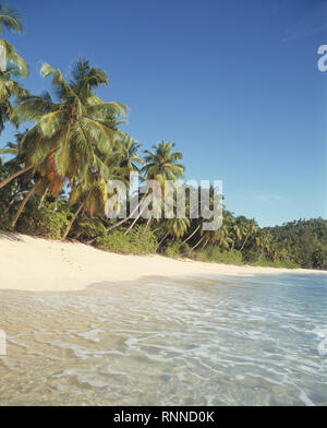 Seychellen. Mahe. Takamaka Strand mit Kokospalmen. Stockfoto