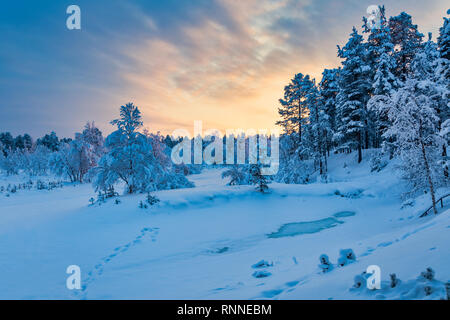 Sonnenuntergang im Wald in der Nähe von Inari im finnischen Lappland Stockfoto