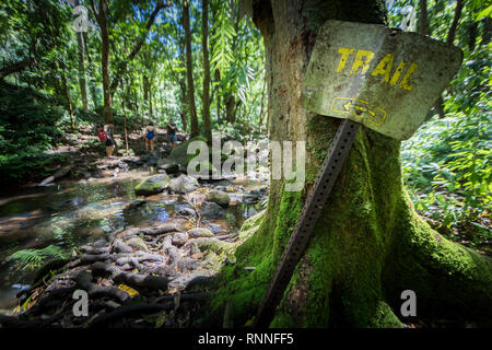 Ein verwittertes Schild markiert den Weg zu den Geheimen fällt durch üppigen Wald entlang der Wailua River, Kauai, Hawaii, USA. Stockfoto