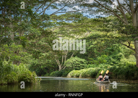 Den Wailua Fluss Wailua, Kauai, Hawaii, ist ein beliebtes und malerischen Ort zu erkunden, die KAYAK-und Wanderungen zu verschiedenen Standorten entlang des Flusses. Stockfoto