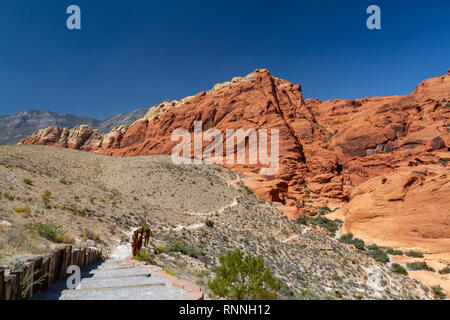 Die Calico Hills, Red Rock Canyon National Conservation Area, Las Vegas, Nevada, USA. Stockfoto