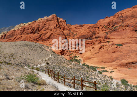 Die Calico Hills, Red Rock Canyon National Conservation Area, Las Vegas, Nevada, USA. Stockfoto