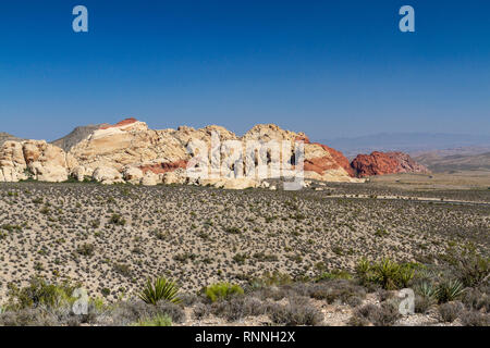 Die Calico Hills, Red Rock Canyon National Conservation Area, Las Vegas, Nevada, USA. Stockfoto