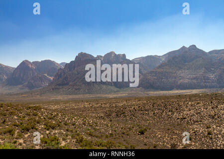 Anzeigen ca nach Süden in Richtung der Spring Mountain Range, Red Rock Canyon National Conservation Area, Las Vegas, Nevada, USA. Stockfoto