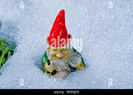 Gartenzwerg im Schnee Stockfoto