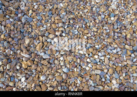 Kies Bodendecker; mehrfarbige Stein bestehend aus Grau, Beige, Schiefer und Braun; reibungslose Fluss Stein oder Kies; Tapeten oder Hintergrund. Stockfoto