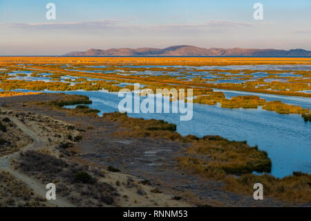 Sonnenaufgang auf dem Titicacasee in der Nähe der Stadt Puno mit Blick über die totora Schilf schwimmende Inseln der Uros indigenen Gruppe, Peru. Stockfoto