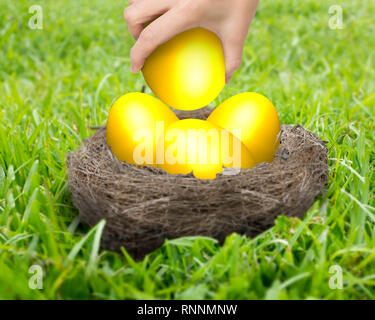 Frau Hand eine goldene Eier im Nest auf der Wiese. Stockfoto