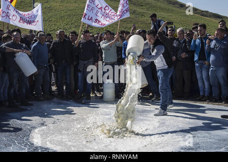 Februar 17, 2019 - Messina, Sizilien, Italien - ein Hirte gesehen gießen Dosen von Milch auf die Straße während des Protestes.. Die sizilianische Milch producerâ € ™ s Protest in Dittaino, gegen die niedrigen Preis der Milch und der Wettbewerb von der Milch, die in den anderen Ländern hergestellt. Die Produzenten strömten mehr als 2000 Würfe von Milch auf die Straße und versuchte, die Autobahn Palermo-Catania zu blockieren. (Bild: © Danilo Campailla/SOPA Bilder über ZUMA Draht) Stockfoto