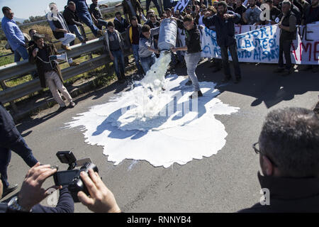 Februar 17, 2019 - Messina, Sizilien, Italien - ein Hirte gesehen gießen Dosen von Milch auf die Straße während des Protestes.. Die sizilianische Milch producerâ € ™ s Protest in Dittaino, gegen die niedrigen Preis der Milch und der Wettbewerb von der Milch, die in den anderen Ländern hergestellt. Die Produzenten strömten mehr als 2000 Würfe von Milch auf die Straße und versuchte, die Autobahn Palermo-Catania zu blockieren. (Bild: © Danilo Campailla/SOPA Bilder über ZUMA Draht) Stockfoto