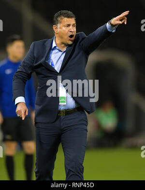 Doha, Katar. 19 Feb, 2019. Irans Saipa FC Head Coach Ali Daei reagiert während der AFC asiatische Champions League qualifikationsspiel zwischen Katar Al Rayyan SC und des Iran Saipa FC in Doha, der Hauptstadt von Katar, 19.02.2019. Credit: Nikku/Xinhua/Alamy leben Nachrichten Stockfoto