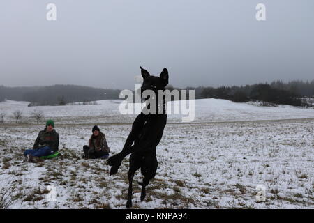 Hund springen auf einem schneeball durch zwei Jugendliche gerade im Hintergrund geworfen zu fangen Stockfoto