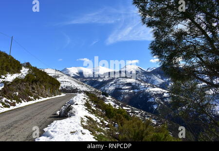 Die winterliche Landschaft mit schneebedeckten Bergen, Straße und Kiefer mit blauem Himmel. Lugo, Galizien, Spanien. Stockfoto