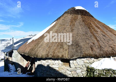 Alte snowy palloza Haus aus Stein und Stroh. Piornedo, Ancares, Galizien, Spanien. Stockfoto