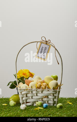Ostern Hühner und Wachteln Eier im Stroh Korb mit Blume und Karte mit Frohe Ostern Schriftzüge auf Gras Stockfoto