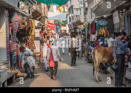 Eine vielbefahrene Straße in Pushkar, Indien, am späten Nachmittag. Stockfoto