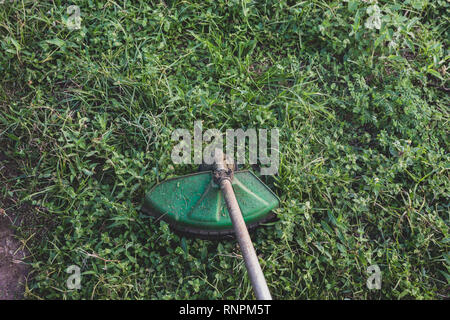 Handheld elektrische Rasenmäher, Gras string Trimmer, Rasen Kantenschneider, aka Unkraut - Peitsche, schlagbesen - kapper, Unkraut - whacker, weed Eater, Trimmer, strimmer Stockfoto