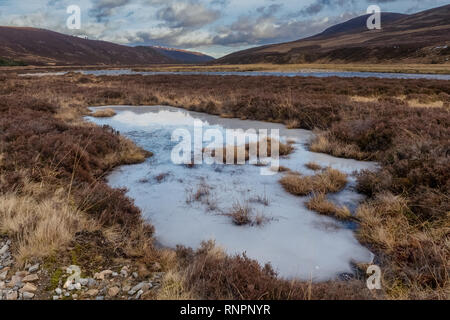 Mar Lodge Estate ist eine Highland Immobilien in westlichen Aberdeenshire, Schottland, das besessen wurde und durch den National Trust für Schottland verwaltet. Stockfoto