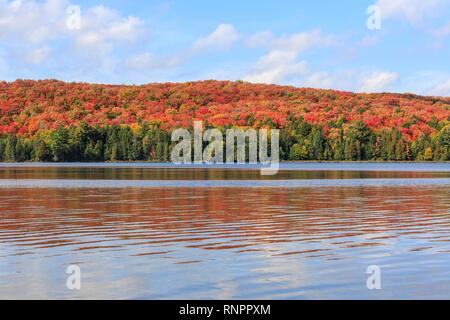 Canisbay Lake im Herbst, Indian Summer, Algonquin Provincial Park, Ontario, Kanada, Nordamerika Stockfoto