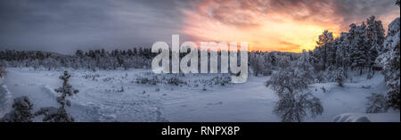 Panorama einer winter Szene mit Sonnenuntergang in der Wüste von finnisch Lappland in der Nähe von Inari Stockfoto