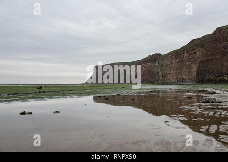 Schroffe Felsen an Huntcliff, Saltburn-by-the-Sea, North Yorkshire, England. Stockfoto