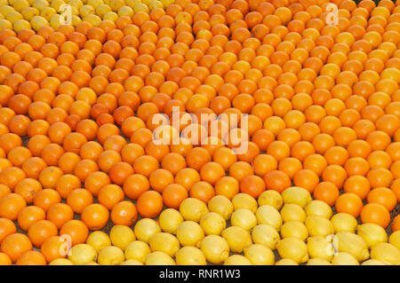16. Februar 2019 Menton, Frankreich, die 86 LEMON FESTIVAL (les mondes fantastiques: Muster von Zitronen und Orangen) Während der Karneval von Nizza Stockfoto