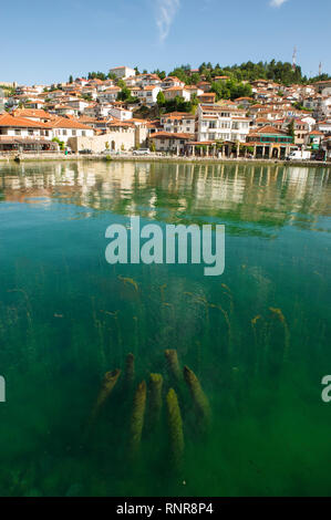 Hafen von Ohrid, Ohrid, Mazedonien Stockfoto