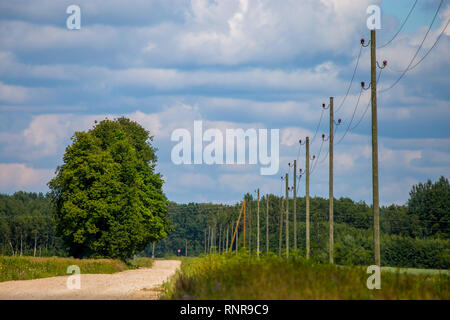 Sommer Landschaft mit leere Straße, Bäume und blauer Himmel. Elektrische Pole neben der Straße. Ländliche Straße, Maisfeld, Holz und bewölkt blauer Himmel. Klassische rura Stockfoto