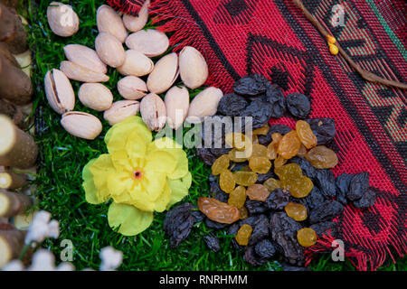 Die aserbaidschanische Süßigkeit baklava in hausgemachten für den Urlaub Novruz. Blau und gelblich Rosinen. Pistazien Muttern Stockfoto