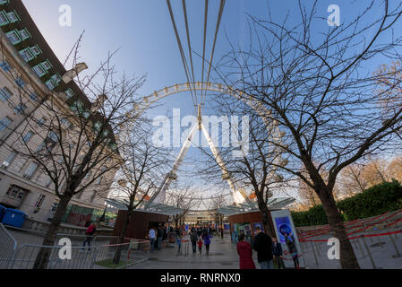 Weitwinkel fisheye geringe Aussicht auf die Coca Cola London Eye, das berühmte Riesenrad Wahrzeichen an der Themse, Lambeth Borough, London. Stockfoto
