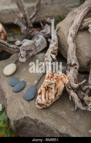 Algarve, Portugal, Februar 2019 Stockfoto