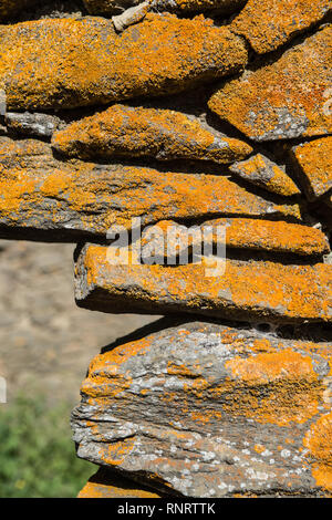 Algarve, Portugal, Februar 2019 Stockfoto